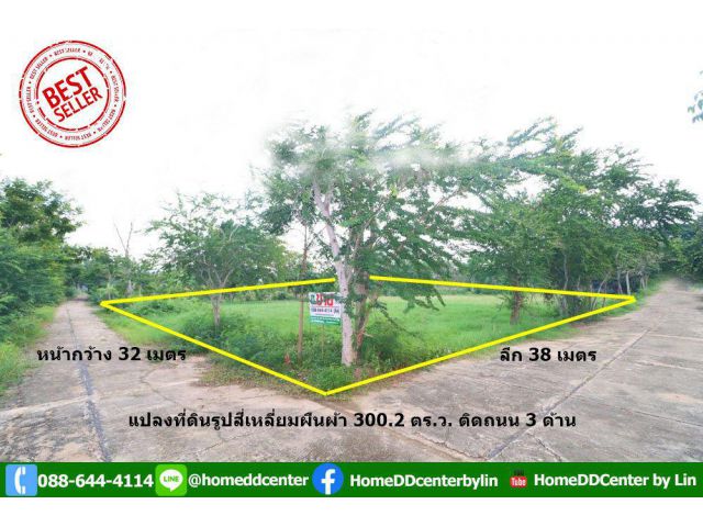 ที่ดิน 300 ตร.ว.ใกล้ทะเล เพชรบุรี ใกล้ หาดเจ้าสำราญ หาดปึกเตียน เพชรบุรี ในโครงการจัดสรร ติดถนนคอนกรีต 3 ด้าน