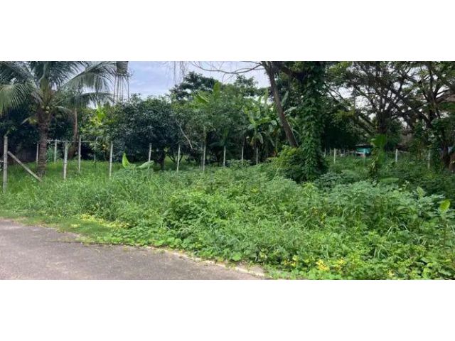 ขายที่ดินตำบลฟ้าฮ่ามทำเลดีโฉนดพร้อมโอน