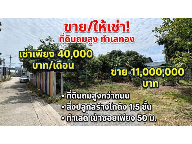 ขาย/ให้เช่า ที่ดินถมแล้วพร้อมโกดัง คลองขวาง-บางกร่าง 9 ราชพฤกษ์ตัดใหม่-เจษฎาบดินทร์ ทำเลดี เข้าซอยเพียง 50 เมตร เชื่อมต่