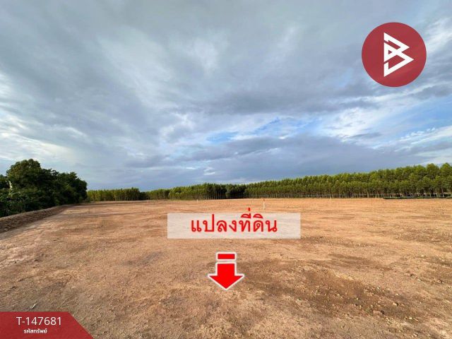 ขายที่ดิน เนื้อที่ 15 ไร่ 5 ตร.วา ศรีมหาโพธิ ปราจีนบุรี