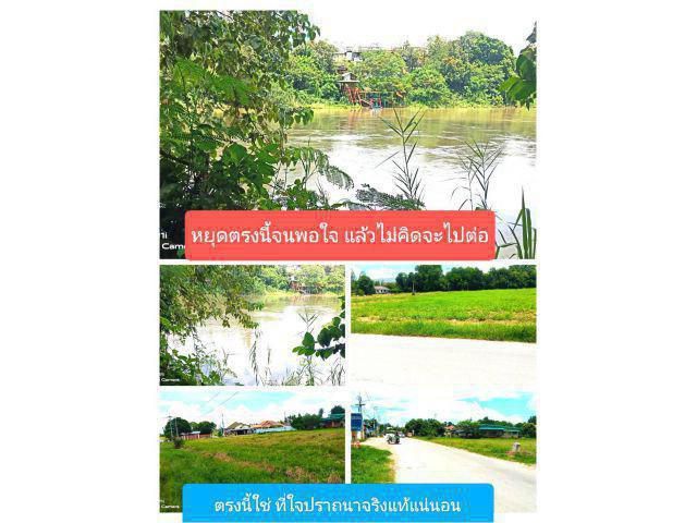 คำเตือนแปลงนี้ไม่ได้ไว้ให้ดูอย่างเดียว แต่อยากให้เกี่ยวข้องโดยตรงต่อผู้ที่ได้พบเห็น ราคาก็เป็นไปตามกลไกตลาดต่อรองได้ครับ