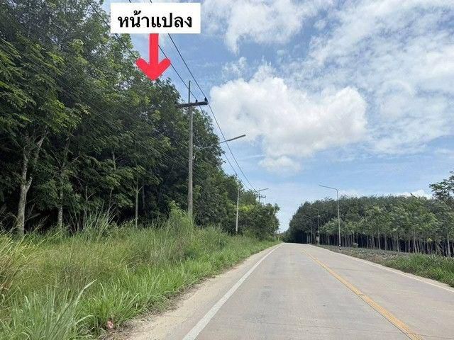 ขายที่ดิน 60-3-35 ไร่ ผังเมืองสีม่วงลาย ที่สวยเสมอ น้ำไม่ท่วม ศรีราชา ชลบุรี