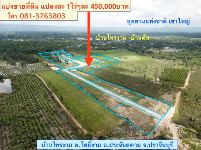 แบ่งขายที่ดินแปลงละ1ไร่ *อยู่ในแหล่งชุมชน มีไฟฟ้า ประปา บ้านไทรงาม ต.โพธิ์งาม อ.ประจันตคาม จ.ปราจีนบุรี