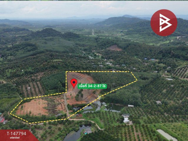 ขายที่ดิน เนื้อที่ 34 ไร่ 2 งาน 87 ตร.วา ท่าใหม่ จันทบุรี