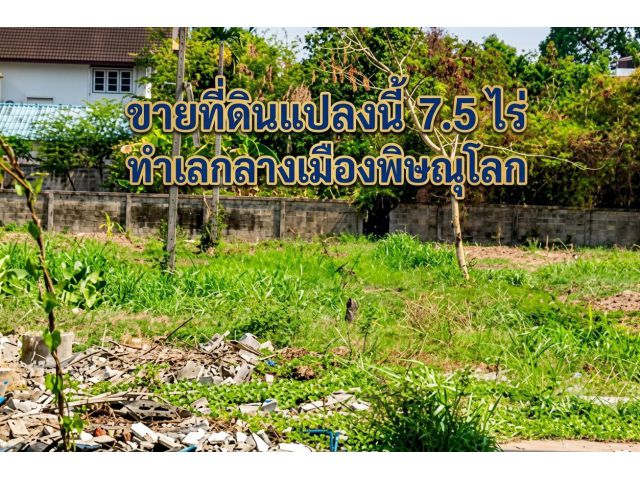 ที่ดิน 7.5 ไร่กลางเมืองพิษณุโลกติดถนน