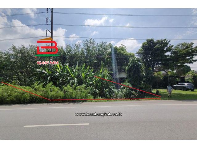 ที่ดินต้นยางพารา (พร้อมกรีด) เนื้อที่ 2-0-80 ไร่ วังจันทร์-ระยอง ใกล้เทศบาลตำบลชุมแสง อำเภอวังจันทร์ ระยอง
