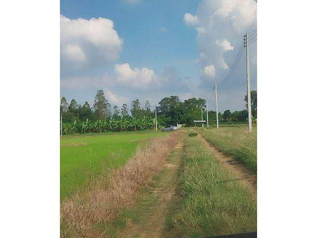 ขายด่วน!!! ที่ดินแปลงสวย ติดถนนสาธารณะ ขายราคาถูกที่สุดในเขตนี้ เนื้อที่ 10 ไร่ ทำเลเหมาะทำเกษตรพอเพียงหรือทำธุรกิจ