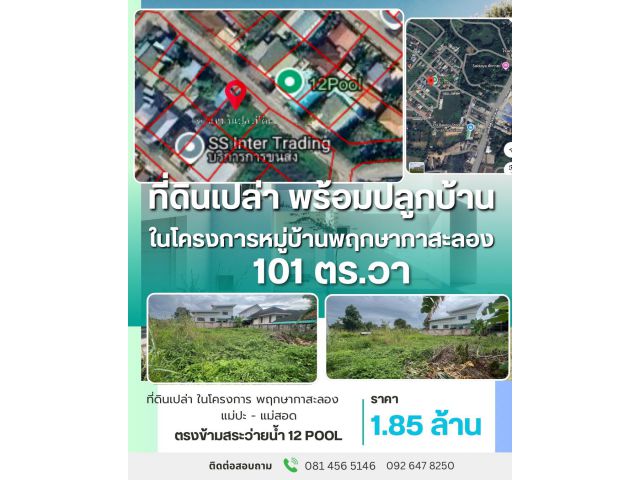 พิเศษ..1.85 ล้านเท่านั้น ที่ดิน 1 งาน ในโครงการพฤกษากาสะลอง แม่สอด พร้อมปลูกบ้าน