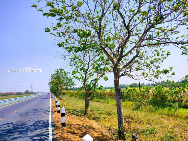 ที่ดินติดคลองประปา 1 ไร่ หน้ากว้างสวยติดคลองประปา 44 เมตร