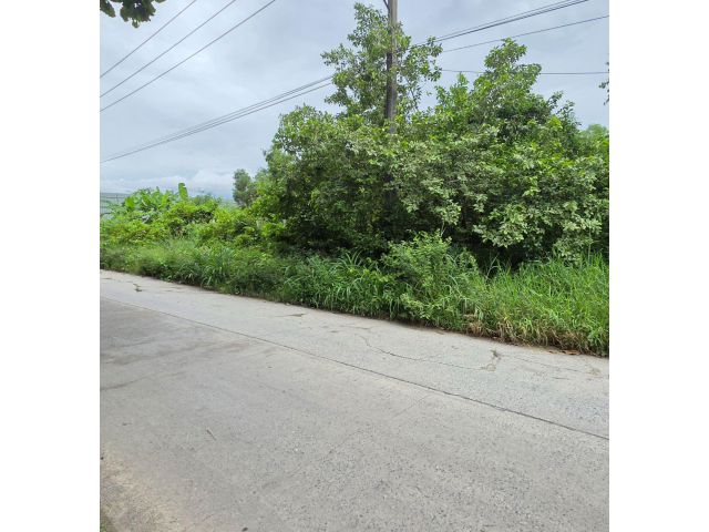 ขายที่ดินถมแล้ว 1ไร่200ตร.ว ถนนกำเเพงเพชร6 ติดถนนคอนกรีตกว้าง เดินทางสะดวก