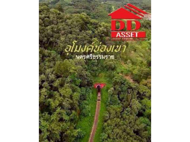 ขายที่ดินติดถนนเอเซีย 5-3-5 ไร่ จ.นครศรีธรรมราช ช่องเขาถ้ำใหญ่