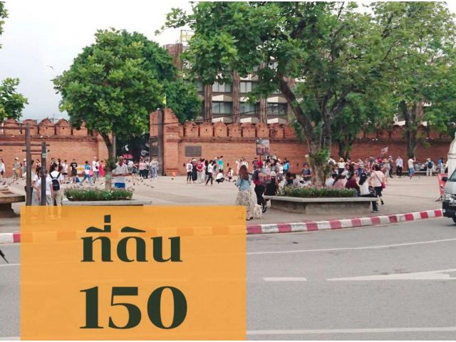 ขายที่ดินใกล้ประตูท่าแพห่างถนนเพียง 200เมตร