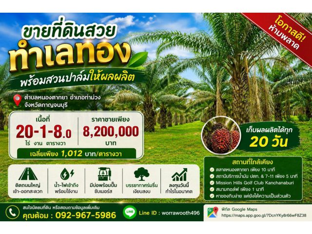 ขายที่ดินสวย ทำเลทอง พร้อมสวนปาล์มให้ผลผลิต