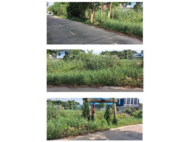 ขายที่ดิน 100 ตร.วา