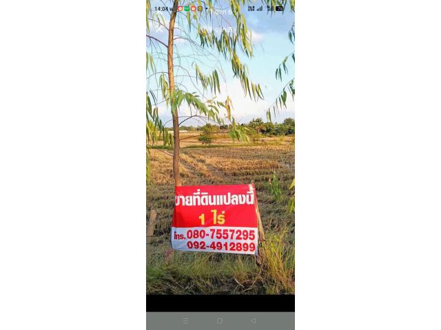 ขายที่ดิน 1 ไร่ติดเทศบาลใกล้โรงพยาบาลใกล้โรงเรียนใกล้แหล่งชุมชนใกล้ตลาด