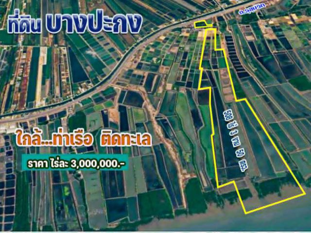 ขายที่ดินบางปะกง 508 ไร่ (ติดทะเล, ติดถ.สุขุมวิท)