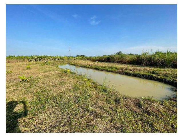 ขายที่ดิน 4 ไร่ ชะอำ เพชรบุรี ไร่ใหม่พัฒนา