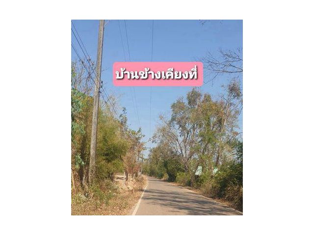 ขายที่ดิน 15-2-26ไร่ สกลนคร พังโคน