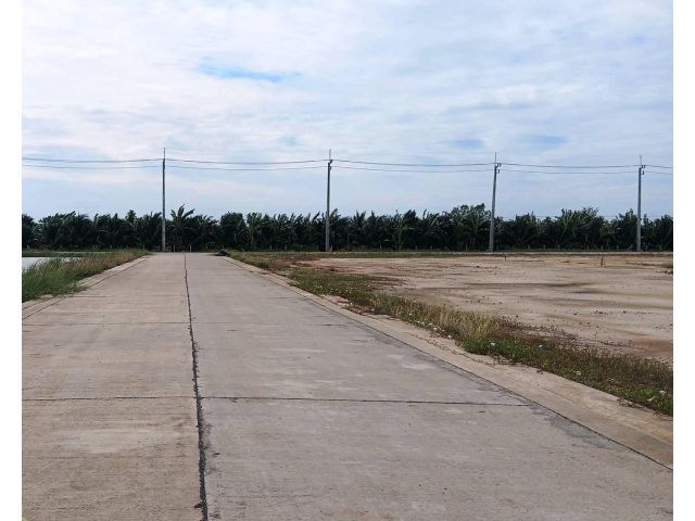 ขายที่ดินถมแล้วแปลงสวย ติดถนนคอนกรีต ใกล้ตลาด เนื้อที่ 103ตรว. อากาศดีสงบร่มรื่น เหมาะปลูกบ้านพักอาศัยอยู่หลังเกษียณ