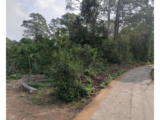 ขายที่ดินดงขี้เหล็ก 3 ไร่ ติดถนนคอนกรีต ใกล้ถนนเส้นสุวรรณศร33-2.4กม. อ.เมืองปราจีนบุรี