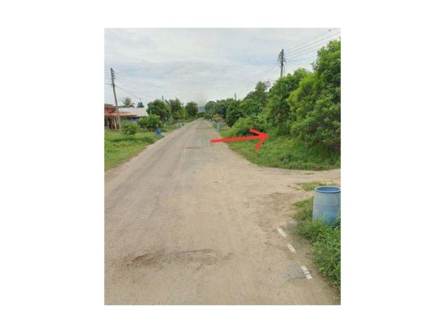 ขายที่ดิน 250ตร.ว. ปากช่อง โคราช นครราชสีมา