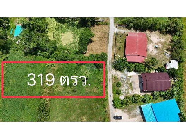 ขายที่ดิน หนองขยาด พนัสนิคม ขนาด 319 ตร.ว.