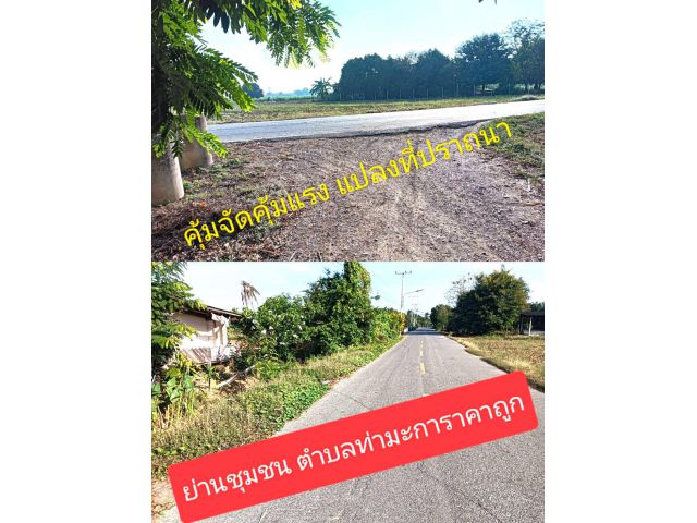 2ไร่ก็ขาย คุ้มครบคุ้มแรงแปลงสวยย่านชุมชนตำบลท่ามะกา สวยคาที่ดีคาใจของใครอีกหลายคน