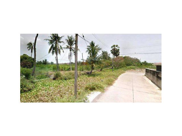 ขายที่ดิน 8 ไร่ พุทธมณฑลสาย5 อ.สามพราน จ.นครปฐม
