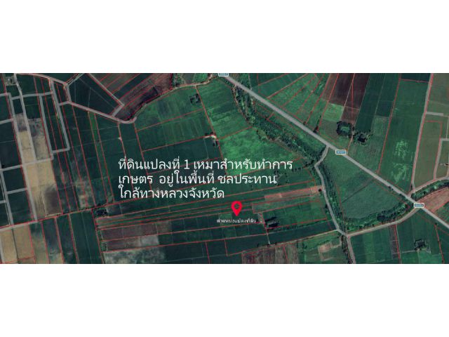 ขายที่ดินเพื่อการเกษตร มีน้ำตลอดปี 15-1-89.3 ไร่ ต.คอรุม อ.พิชัย จ.อุตรดิตถ์