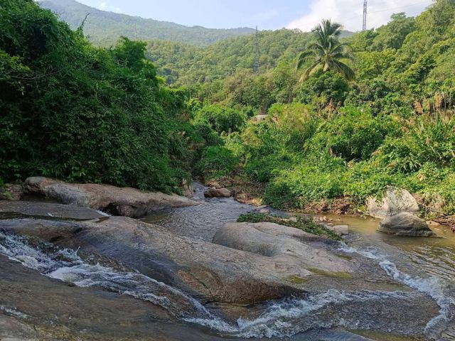 ขายที่สวนผสมวิวดอยติดลำธารน้ำห่างอุทยานออบหลวง 1.5กม
