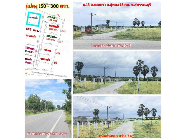 (โฉนด) ที่ดิน 150-300 ตรว. (ถมแล้ว) รั้ว (สำหรับที่อยู่อาศัย) หน้าติดถนนลาดยาง ถนนหินคลุก ไฟฟ้า น้ำประปา ม.13 ต.ดอนคา อ.อู่ทอง จ.สุพรรณบุรี