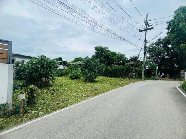 ขายที่ดินทำเลดีตำบลสันผักหวานหางดงพร้อมโอน