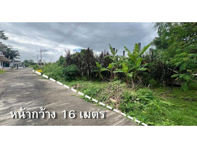 ที่ดินในโครงการ 88 ตร.วา พร้อมโครงบ้านเดิม ในพฤกษากาสะลอง แม่ปะ-แม่สอด