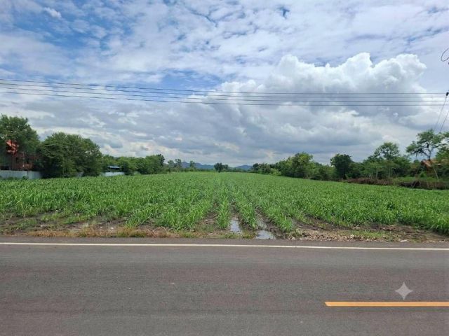 ขายที่ดิน พัฒนานิคม- จังหวัดลพบุรี ฝั่งขาเข้า กทม.