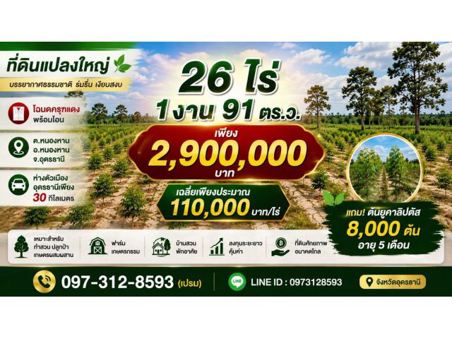 ที่ดินสวย 26 ไร่ 1 งาน 91 ตารางวา | เพียง 2,900,000 บาท