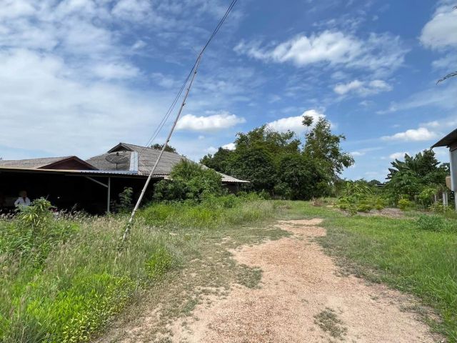 ขายที่ดินถมแล้ว หนองหงษ์ – พานทอง ชลบุรี