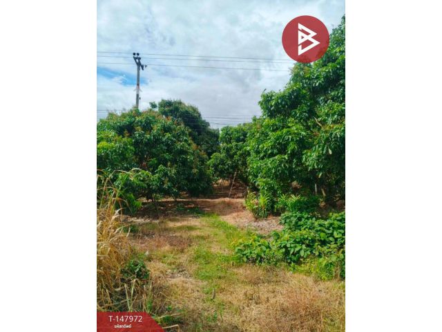 ขายที่ดิน เนื้อที่ 7 ไร่ 2 งาน 35.6 ตร.วา สอยดาว จันทบุรี