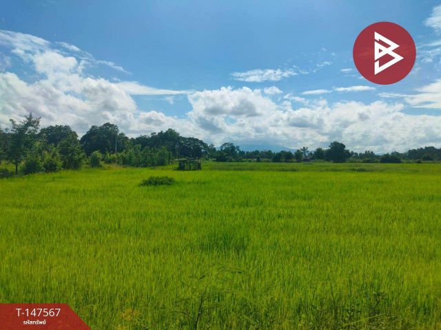 ขายที่ดิน เนื้อที่ 44 ไร่ 2 งาน 37 ตร.วา กงไกรลาศ สุโขทัย