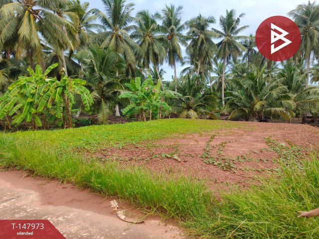 ขายที่ดิน เนื้อที่ 50 ตร.วา ดำเนินสะดวก ราชบุรี