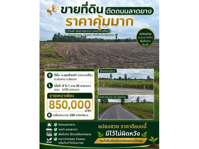 ขายที่ดินชัยนาท 9 ไร่ 1 งาน 33 ตร.ว. ติดถนนลาดยาง อ.เนินขาม ขายเหมา 850,000 บาท