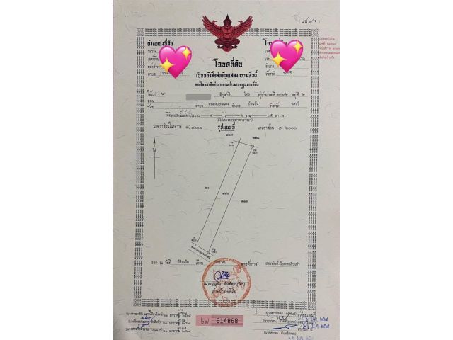 ที่ดินเปล่า 4-2-05 ไร่ ( ต.หนองบอนแดง อ.บ้านบึง จ.ชลบุรี) ฿2,500,000 / ไร่