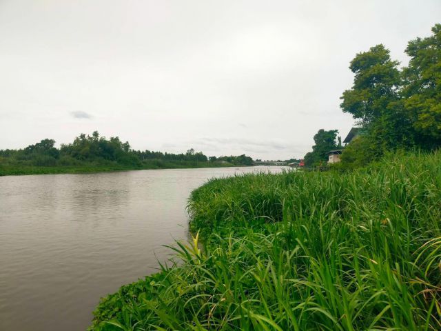 ขายที่ดินติดแม่น้ำท่าจีน 3ไร่เศษไร่ละ850000-ต.บางตาเถร อ.สองพี่น้อง จ.สุพรรฯเเหมาะทำบ้านพัก/บ้านสวนไว้พักผ่อนริมแม่น้ำ.