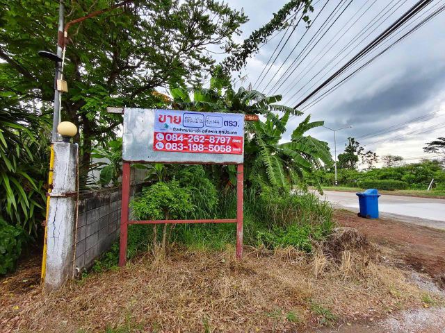 ขายที่ดินพร้อมสิ่งปลูกสร้าง ทำเลทองพุนพิน เนื้อที่ 1 ไร่ 144 ตร.ว. ต.ท่าข้าม อ.พุนพิน จ.สุราษฎร์ธานี