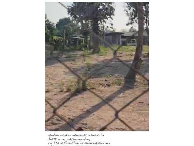 ที่ดินเกือบ2ไร่หลังวัดเกตุใหญ่ พัทยา