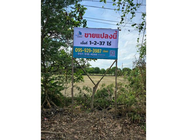 ขาย ที่ดินเปล่า ต.บ้านใหม่ อ.บางใหญ่ จ.นนทบุรี