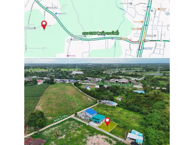 ขายที่ดิน 60 ตร.ว. นาเริก พนัสนิคม ใกล้สี่แยกเกาะโพธิ์ 331 (1.2 กม )