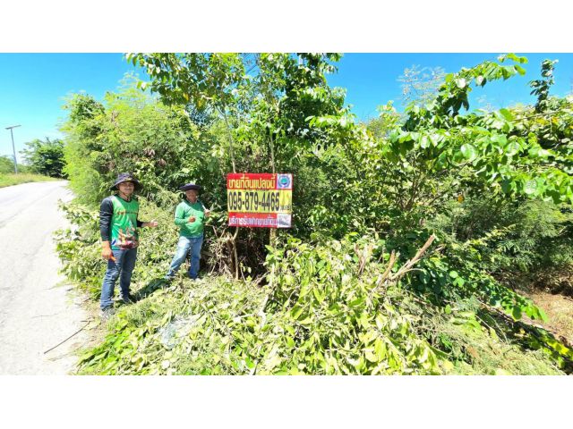 ขายด่วนที่ดิน 3 ไร่ ติดถนน3422(ลาดบัวหลวง-วัดไผ่โรงวัว) บางเลน นครปฐม