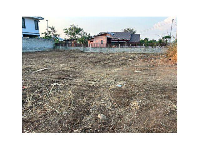 ขายที่ดิน 200 ตรว. ต.พญาเย็น อ.ปากช่อง จ.นครราชสีมา