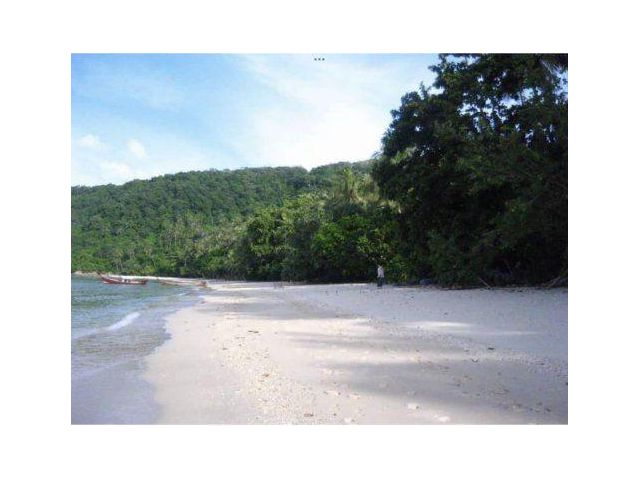 ขายที่ดิน 14 ไร่ เกาะโหลน ติดชายหาด ต.ราไวย์ อ.เมืองภูเก็ต จ.ภูเก็ต เอกสารสิทธิ์ นส3