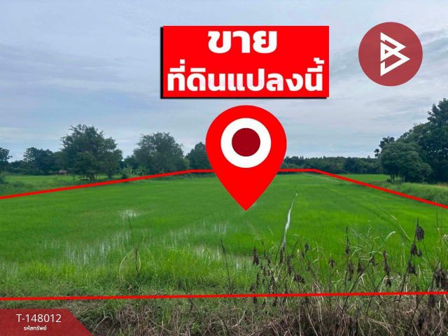 ขายด่วนที่ดิน เนื้อที่ 6 ไร่ 90 ตร.วา โคกสี ขอนแก่น